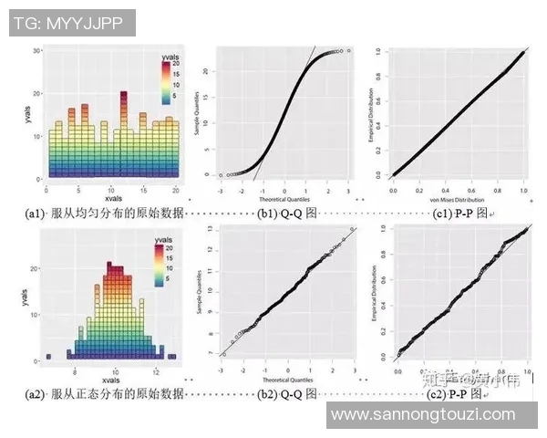 深入探讨杭州排球队的节奏表现与数据分析背后的故事