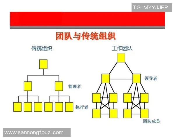 深圳排球队进攻策略全解析:深度剖析排球战术与团队协作技巧 深圳排球队进攻策略全解析:深度剖析排球战术与团队协作技巧