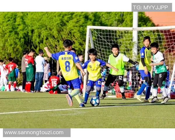 中外足球明星对抗赛激情碰撞展现足球魅力与友谊的盛宴