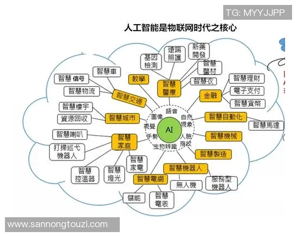 南京网球队的转型之路与未来发展趋势深度解析