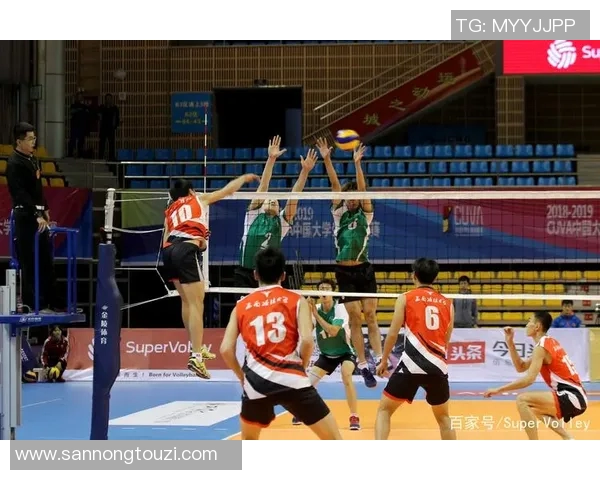 成都排球队与上海排球队赛后复盘团队协作的精彩瞬间与反思分析