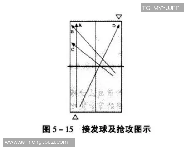 武汉乒乓球队快攻战术解析与深度剖析乒乓球的魅力与技巧 武汉乒乓球队快攻战术解析与深度剖析乒乓球的魅力与技巧